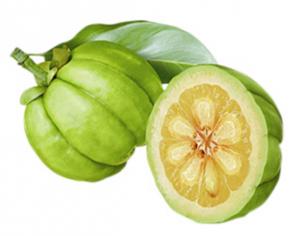 garcinia cambogia