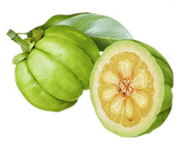 pastile garcinia cambogia