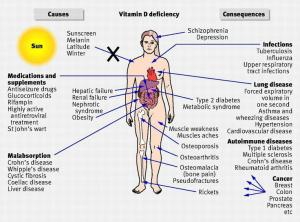 vitamina d