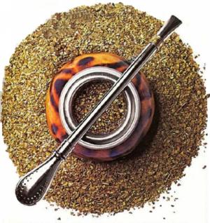 yerba mate3